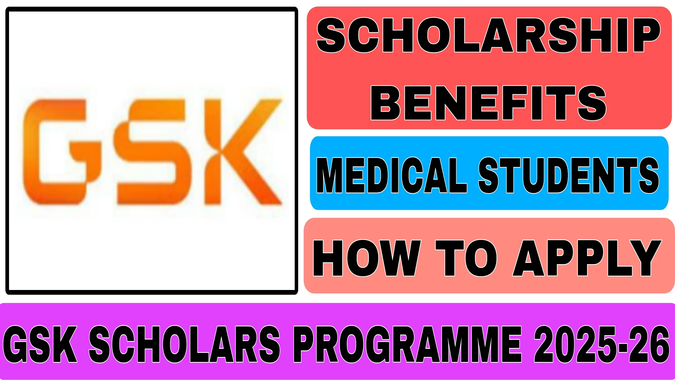 GSK Scholars Programme 2025 to 26